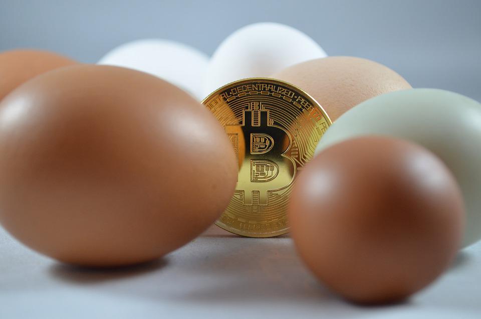 Dans quelle cryptomonnaie investir en 2022 ?