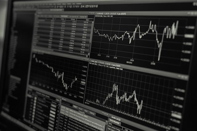 Les différents types de placements financiers