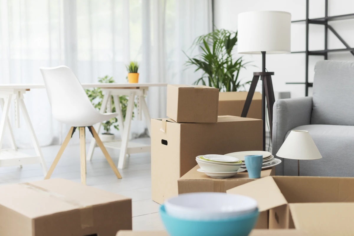 Franchises immobilières : Les secrets fiscaux pour optimiser vos investissements